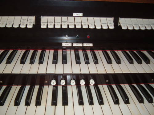 Manuals or keyboards and stops of the pipe organ.