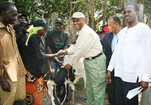 Peter Mwakabwale, at right, Heifer International Country Director for Tanzania, and U.S. Ambassador Alfonso Lenhardt (in cap) hands over a dairy cow to Tabu Jumbe and (left) her husband, Jalala Mtelea, at Msimbu village in the district of Kisarawe.  Source: http://tanzania.usembassy.gov/ph_06282010.html