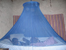 A family sleeps under an insecticide-treated mosquito net, protected against malaria-carrying mosquitoes.